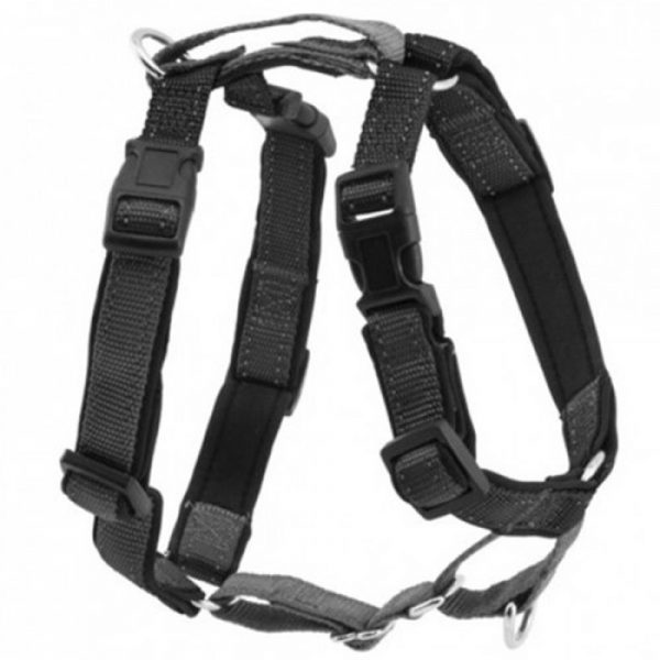 3 in 1 Harness & Car Restraint - Large (3IN1-L-BLK-17)