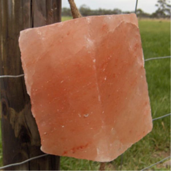 Minrosa Salt Chunks 25kg