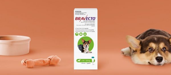 Bravecto SPOT ON Dog 10-20kg (Green)