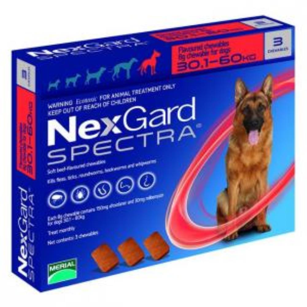 Nexgard wholesale best sale