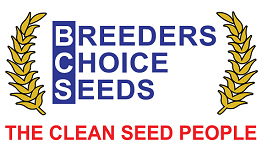 Breeders Choice Seeds